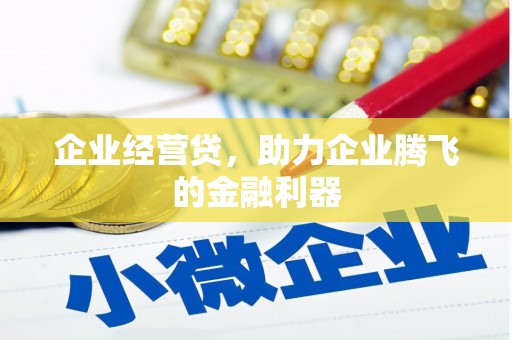 揭东企业经营贷，助力企业腾飞的金融利器