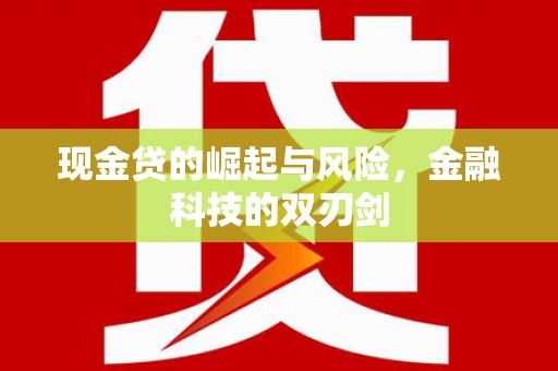 呈贡现金贷的崛起与风险，金融科技的双刃剑