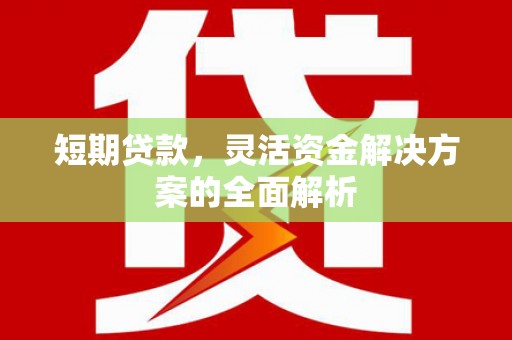 小店短期贷款，灵活资金解决方案的全面解析