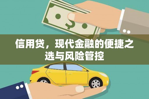察雅信用贷，现代金融的便捷之选与风险管控