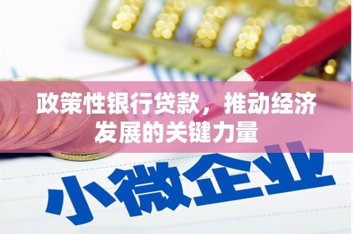 兴文政策性银行贷款，推动经济发展的关键力量