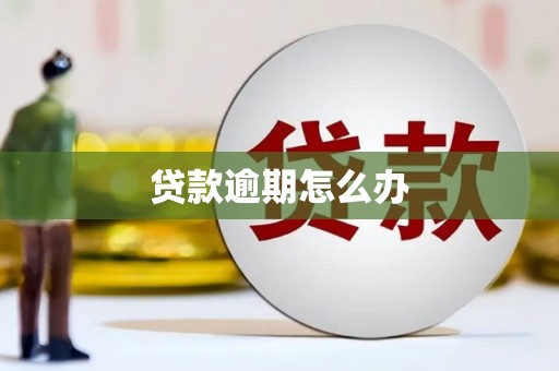 瑞穗贷款逾期怎么办