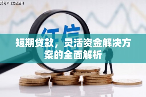 新抚短期贷款，灵活资金解决方案的全面解析