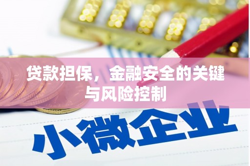 怀来贷款担保，金融安全的关键与风险控制