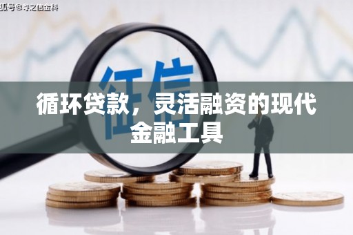 都兰循环贷款，灵活融资的现代金融工具