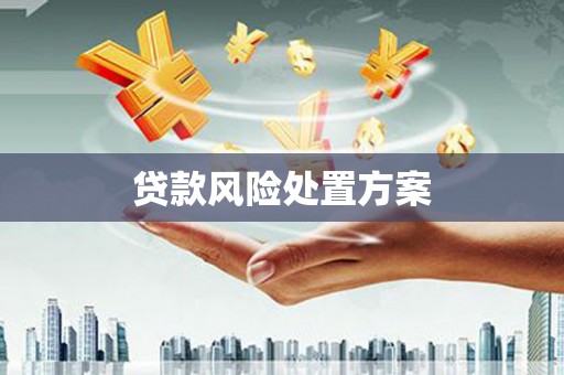风顺堂区贷款风险处置方案