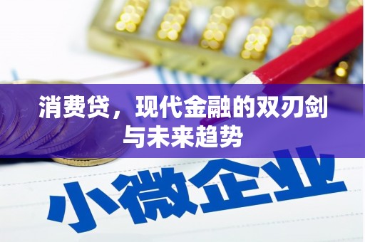 孝南消费贷，现代金融的双刃剑与未来趋势