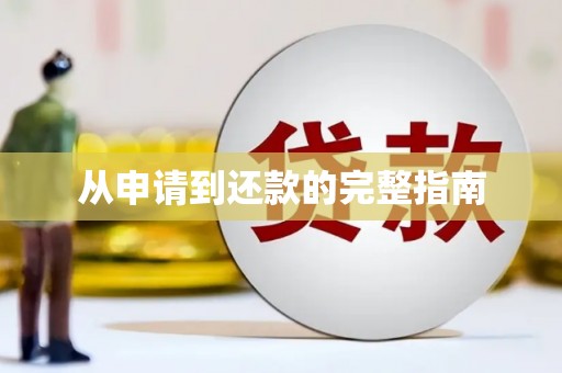 宜丰从申请到还款的完整指南