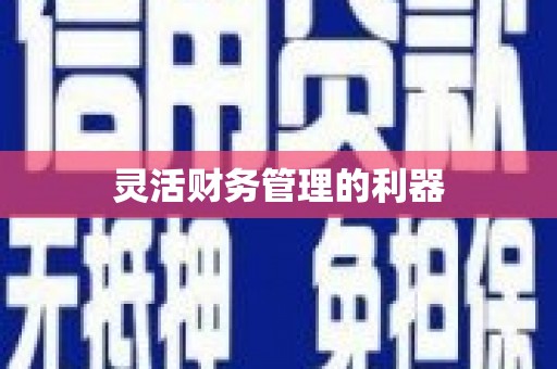 盐山灵活财务管理的利器
