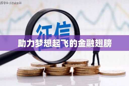 万峦助力梦想起飞的金融翅膀