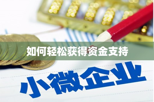 兰西如何轻松获得资金支持