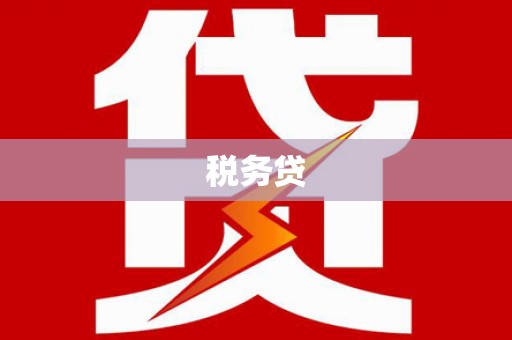 龙山税务贷