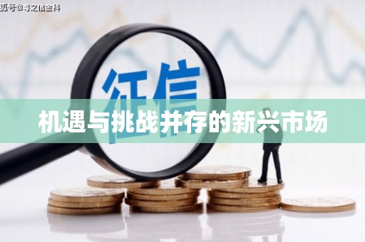 咸丰机遇与挑战并存的新兴市场