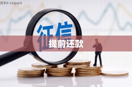 宣城提前还款
