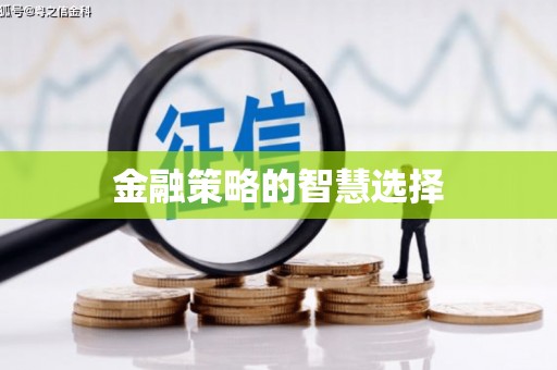 麻江金融策略的智慧选择