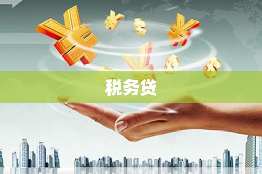 北关税务贷
